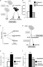CD49f (Integrin alpha 6) Antibody in Neutralization (Neu)