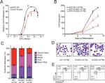 CD71 (Transferrin Receptor) Antibody in Flow Cytometry (Flow)