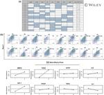 CD73 Antibody in Flow Cytometry (Flow)
