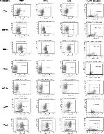CD90 (Thy-1) Antibody in Flow Cytometry (Flow)