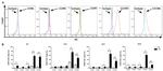 CD194 (CCR4) Antibody in Flow Cytometry (Flow)