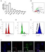 F4/80 Antibody in Flow Cytometry (Flow)