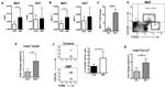 F4/80 Antibody in Flow Cytometry (Flow)
