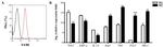 F4/80 Antibody in Flow Cytometry (Flow)