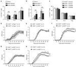 FOXP3 Antibody in Flow Cytometry (Flow)