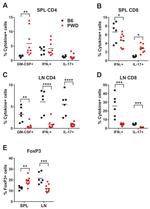 FOXP3 Antibody in Flow Cytometry (Flow)