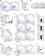 FOXP3 Antibody in Flow Cytometry (Flow)