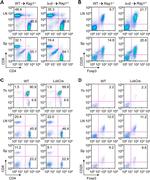 FOXP3 Antibody in Flow Cytometry (Flow)