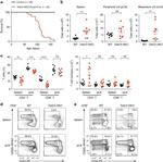 FOXP3 Antibody in Flow Cytometry (Flow)