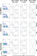NK1.1 Antibody in Flow Cytometry (Flow)