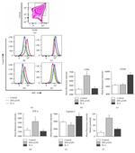 TNF alpha Antibody in Flow Cytometry (Flow)