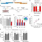 Phospho-IkB alpha (Ser32, Ser36) Antibody in Flow Cytometry (Flow)