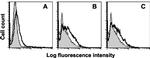 CD200 Receptor Antibody in Flow Cytometry (Flow)