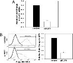 Globo H Antibody in Flow Cytometry (Flow)