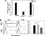 Globo H Antibody in Flow Cytometry (Flow)