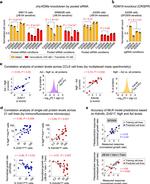 ZNF217 Antibody in Immunocytochemistry (ICC/IF)