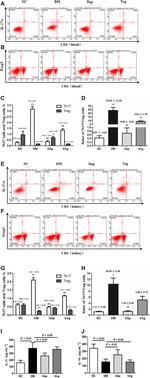IL-17A Antibody in Flow Cytometry (Flow)