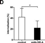 Rat IgG2b kappa Isotype Control in Inhibition Assays (Inhibition)