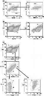 CD11c Antibody in Flow Cytometry (Flow)