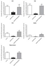 Phospho-PAK1/2/3 (Ser141) Antibody in Immunohistochemistry, Immunocytochemistry (IHC, ICC/IF)