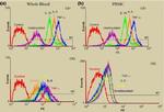 Cannabinoid Receptor 1 Antibody in Flow Cytometry (Flow)