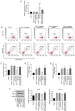 CD4 Antibody in Flow Cytometry (Flow)