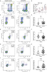 IL-22 Antibody in Flow Cytometry (Flow)