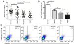 CD25 Antibody in Flow Cytometry (Flow)