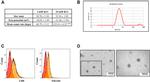 CD9 Antibody in Flow Cytometry (Flow)