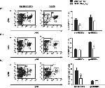 Ly-6G Antibody in Flow Cytometry (Flow)