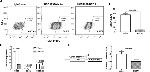 CD44 Antibody in Flow Cytometry (Flow)