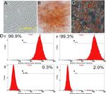 CD34 Antibody in Flow Cytometry (Flow)