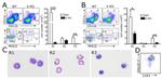 CD11c Antibody in Flow Cytometry (Flow)