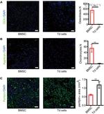 Perilipin 1 Antibody in Immunocytochemistry (ICC/IF)