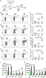 CD45.2 Antibody in Flow Cytometry (Flow)