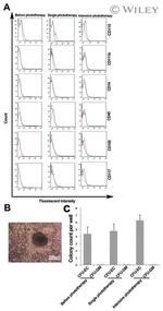 CD105 (Endoglin) Antibody in Flow Cytometry (Flow)