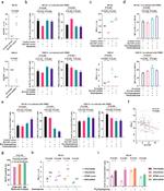 CD366 (TIM3) Antibody in Flow Cytometry (Flow)