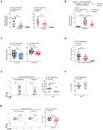 Mouse IgA Antibody in Flow Cytometry (Flow)