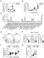 Mouse IgA Antibody in Flow Cytometry (Flow)