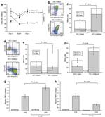 CD11c Antibody in Flow Cytometry (Flow)