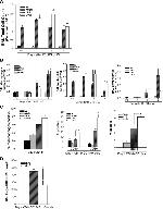 CD11c Antibody in Flow Cytometry (Flow)