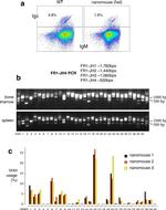 Mouse IgM Antibody in Flow Cytometry (Flow)