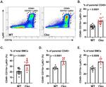 Ly-6C Antibody in Flow Cytometry (Flow)