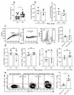 IL-4 Antibody in Flow Cytometry (Flow)