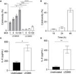 IL-6 Monoclonal Antibody (MQ2-39C3), Biotin, eBioscience™