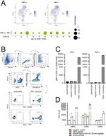 CD8a Antibody in Flow Cytometry (Flow)