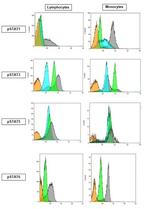 Phospho-STAT3 (Tyr705) Antibody in Flow Cytometry (Flow)
