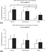 iNOS Antibody in Immunohistochemistry (IHC)