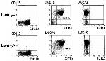 Ly-6G/Ly-6C Antibody in Flow Cytometry (Flow)