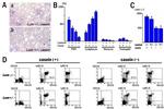 Ly-6G/Ly-6C Antibody in Flow Cytometry (Flow)